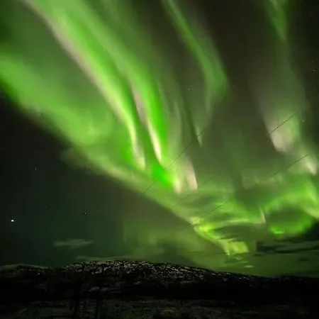 Aurora Borealis * Tromso