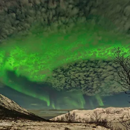 Aurora Borealis Appartement *