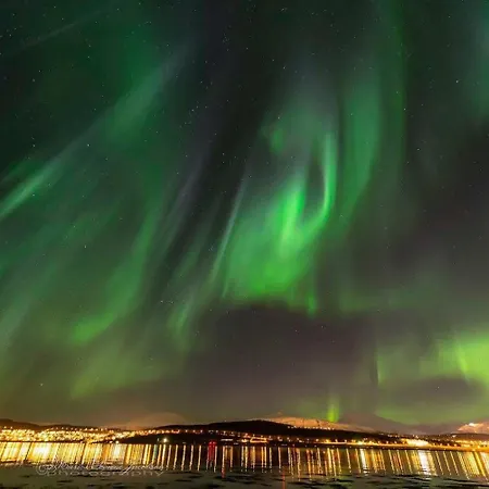 Appartement Aurora Borealis