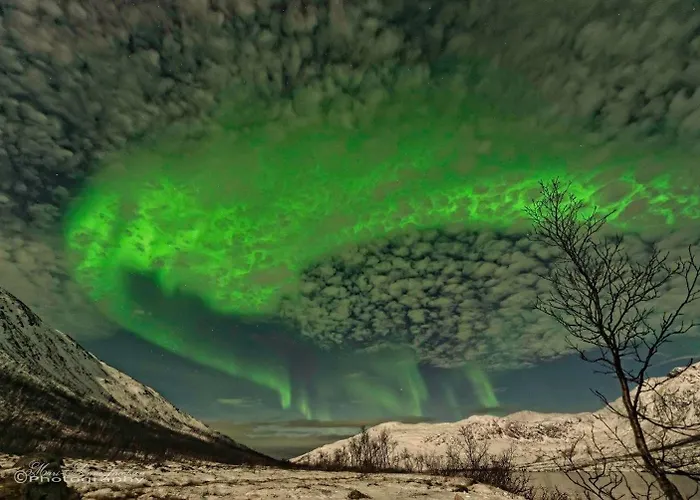 Aurora Borealis Appartement *